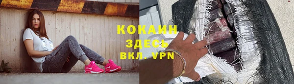 твердый Лиски