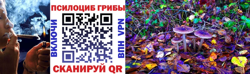 Псилоцибиновые грибы Magic Shrooms Тотьма
